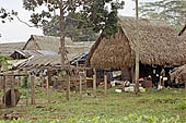 Boca Manu village in the Manu reserve